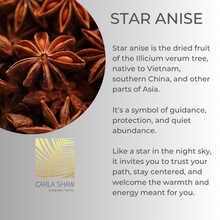 Load image into Gallery viewer, Star Anise Necklace