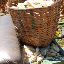 Load image into Gallery viewer, Clutch and Brooch