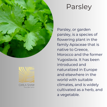 Load image into Gallery viewer, Parsley Earrings
