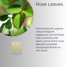 Load image into Gallery viewer, Rose Leaves Earrings
