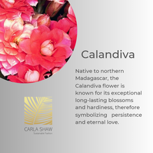 Load image into Gallery viewer, Calandiva Necklace with Onyx or Mother-of-Pearl
